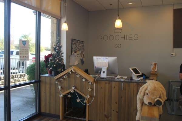 Poochie's is a cage-free facility, and the lounge is complete with toys, televisions and aromatherapy. 
Amy Rae Dadamo/Community Impact Newspaper  