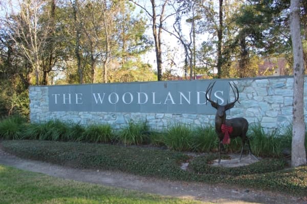 The Woodlands at a crossroads as study concludes in 2020