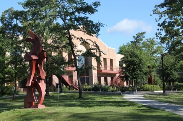 Guide: Private schools to check out in The Woodlands and south Montgomery County in 2020