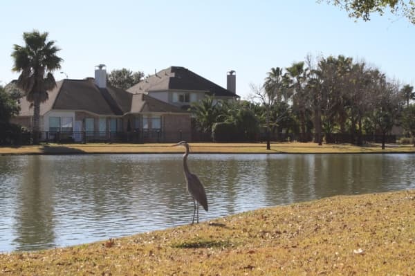 Featured neighborhood: Learn more about Grand Lakes in the Katy area