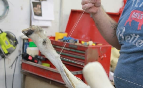 After they are cleaned, skins are sewn on to mannequins by taxidermists. (Andy Li/Community Impact Newspaper)