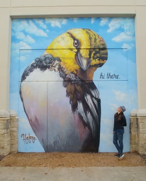 The Hill Country Galleria unveils 3 murals by local artists