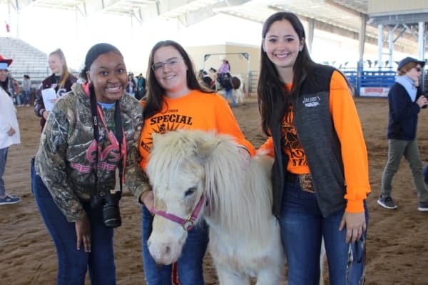 Here's the schedule for the 2020 Katy ISD FFA Livestock Show, Katy Rodeo