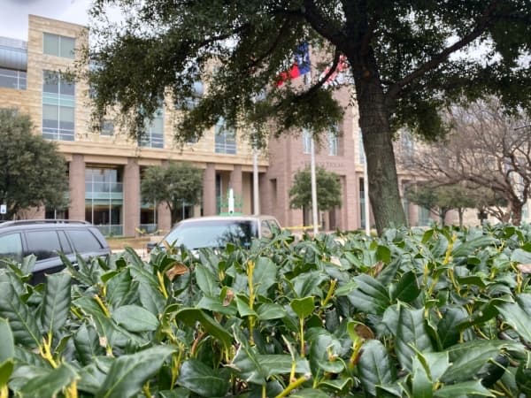 Amended standards for plant materials, landscape approved by Frisco Planning & Zoning Commission