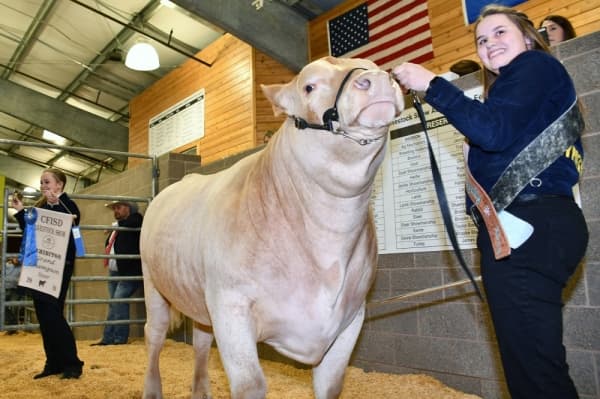 Cy-Fair ISD’s annual Livestock Show and Sale set for Feb. 6-8