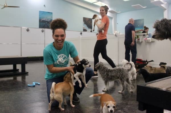 Cheryl Rose has always loved dogs and opening a day care for pups was a natural fit for her, she said. (Amy Denney/Community Impact Newspaper)