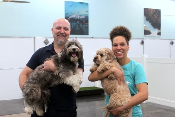 Owners Mike and Cheryl Rose, pictured holding Bonnie and Bear, opened Little Kahunas Pet Resort in December 2018.  (Amy Denney/Community Impact Newspaper)