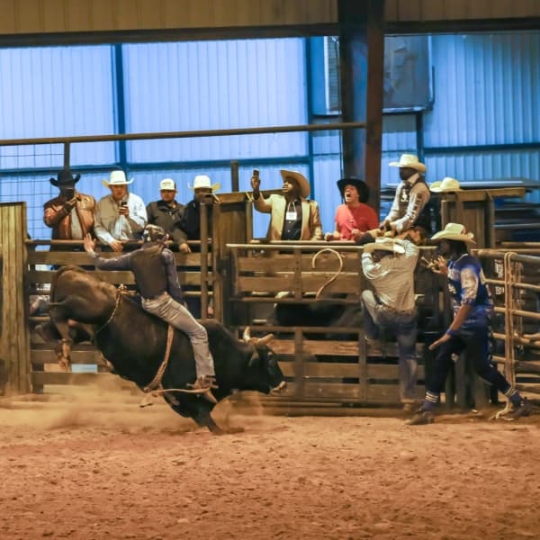 16 events to attend in Missouri City and Sugar Land in February and March