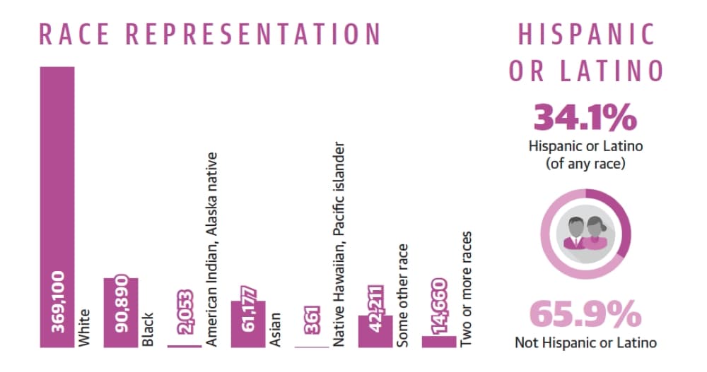 Source: U.S. Census Bureau/Community Impact Newspaper