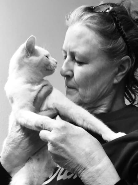 Classy Cats volunteers find ways to bond with stray, injured and otherwise needy cats before finding them a permanent home. (Ian Pribanic/Community Impact Newspaper)