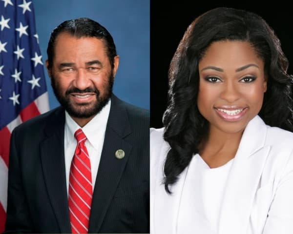 Primary Election Guide 2020 Q&A: Get to know Democratic candidates for Texas' 9th Congressional District