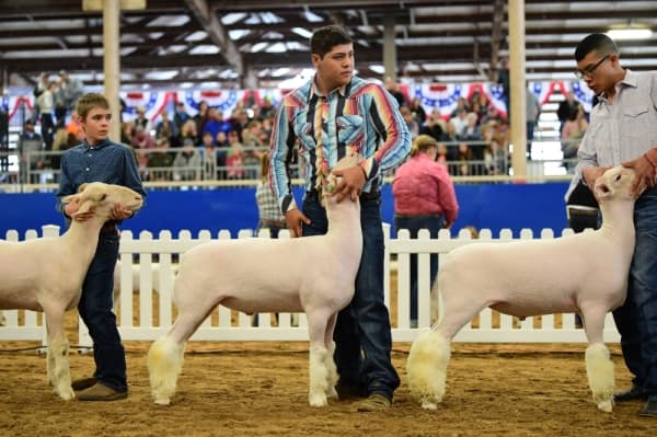 March to-do list: 14 events to check out in Southwest Austin and Dripping Springs this month