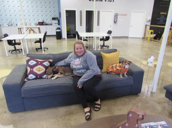Work & Woof Coworking space offers dog owners a place to thrive