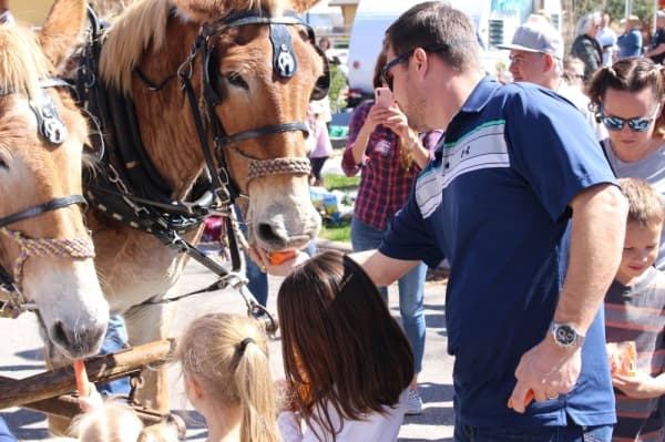 GALLERY: Sam Houston Trail Riders trot into Tomball