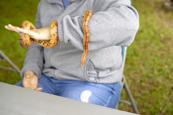 Celebrate the Good Oil Days, get immersed in nature: 5 things to do in the Lake Houston area in March, April