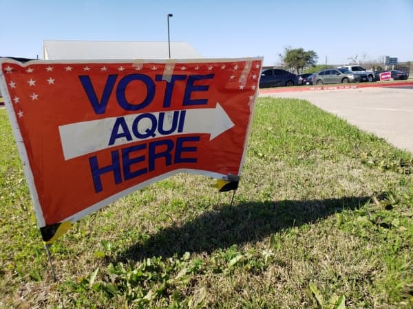 15.14% of Williamson County voters cast ballots during early voting