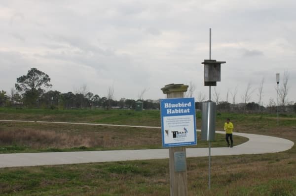 Exploration Green's walking trails feature numerous bird and bee habitats. (Colleen Ferguson/Community Impact Newspaper)