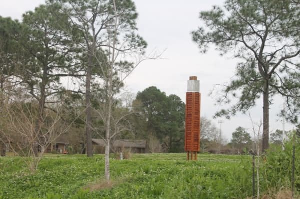 A chimney swift tower stands in Phase 1. All phases will have towers to provide roosting and nesting habitats. (Colleen Ferguson/Community Impact Newspaper)