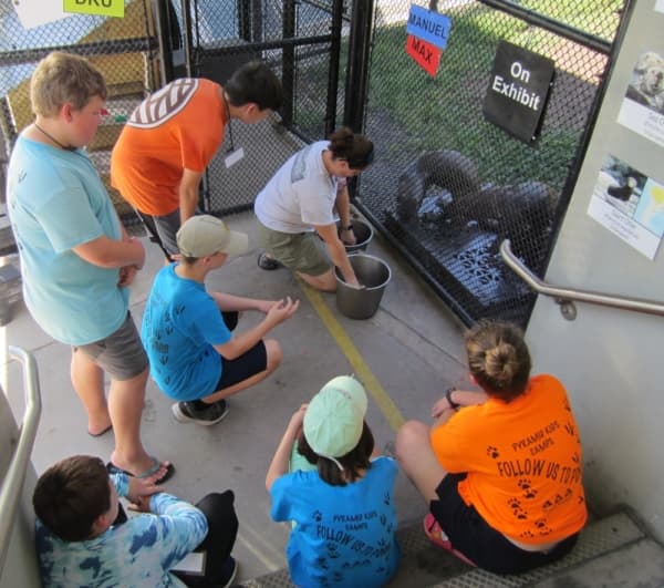 Bay Area 2020 Camp Guide: Learn about the summer camps around Clear Lake, League City, Galveston