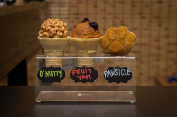 The bakery offers treats with dog-friendly ingredients such as yogurt, carob and peanut butter. Smaller pastries range from $4 to $6 while cakes range from $12 to $48. (Nathan Colbert/Community Impact Newspaper)