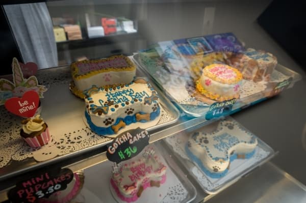 The bakery offers a variety of dog-friendly desserts, including full-size cakes for "Gotcha Days," birthdays and other occasions. (Nathan Colbert/Community Impact Newspaper)