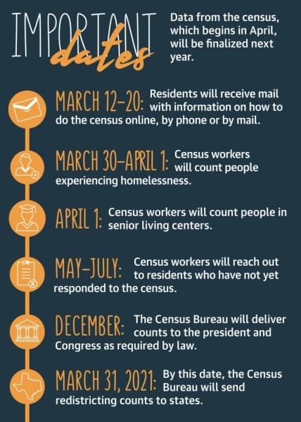 Here are some important dates in the census process. (Graphic by Chelsea Peters/Community Impact Newspaper)