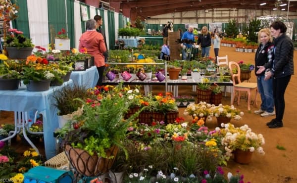 (courtesy Collin County Master Gardeners)