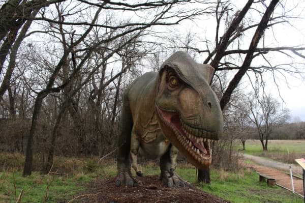 McKinney museum preserves city’s wildlife, features educational exhibits