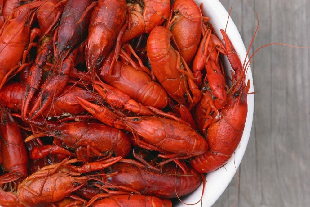 Food truck Cajun Comforts Crawfish & Seafood Co. relocates within Katy area