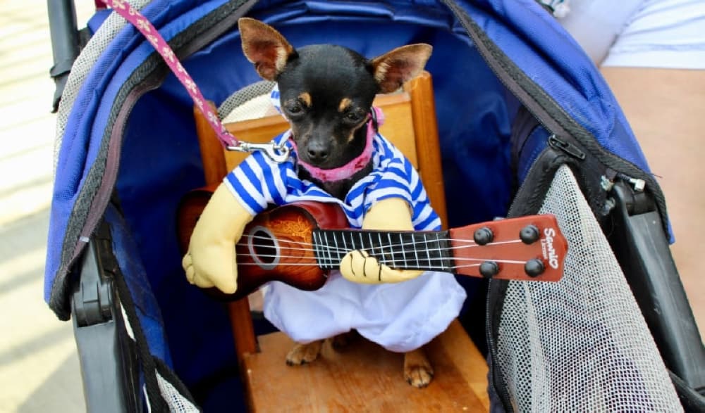 To-do list - Here's what's going on in New Braunfels this March and April