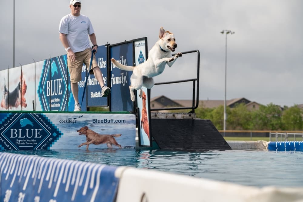 9 events in Pearland, Friendswood in March, April