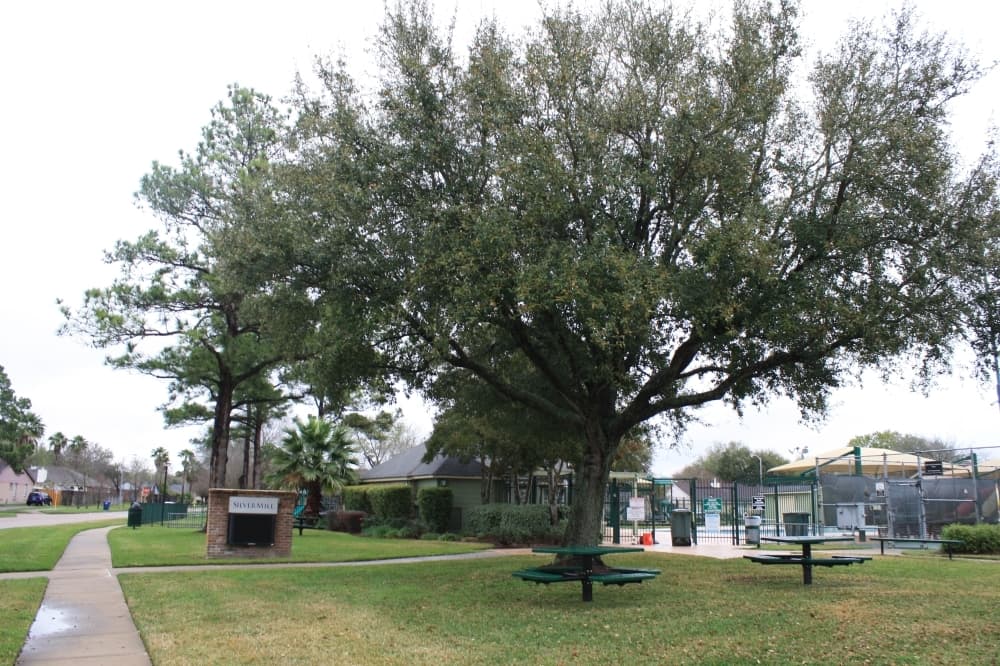 Featured neighborhood: Learn more about Silvermill in the Katy area