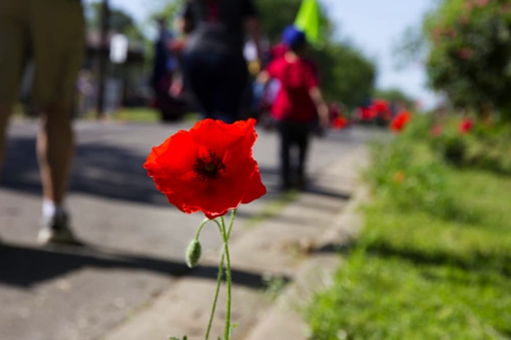 UPDATE: 2020 Red Poppy Festival postponed to October; library, other city facilities closed