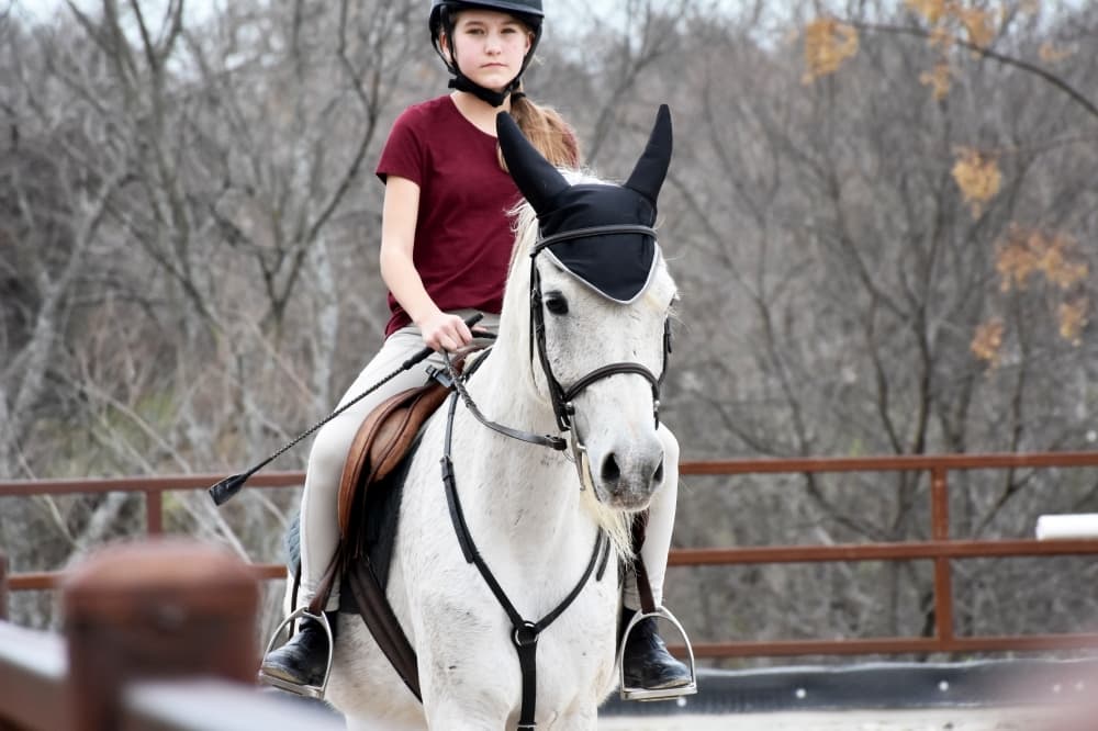 Richardson horse barn Windmill Stables brings a slice of country to the city
