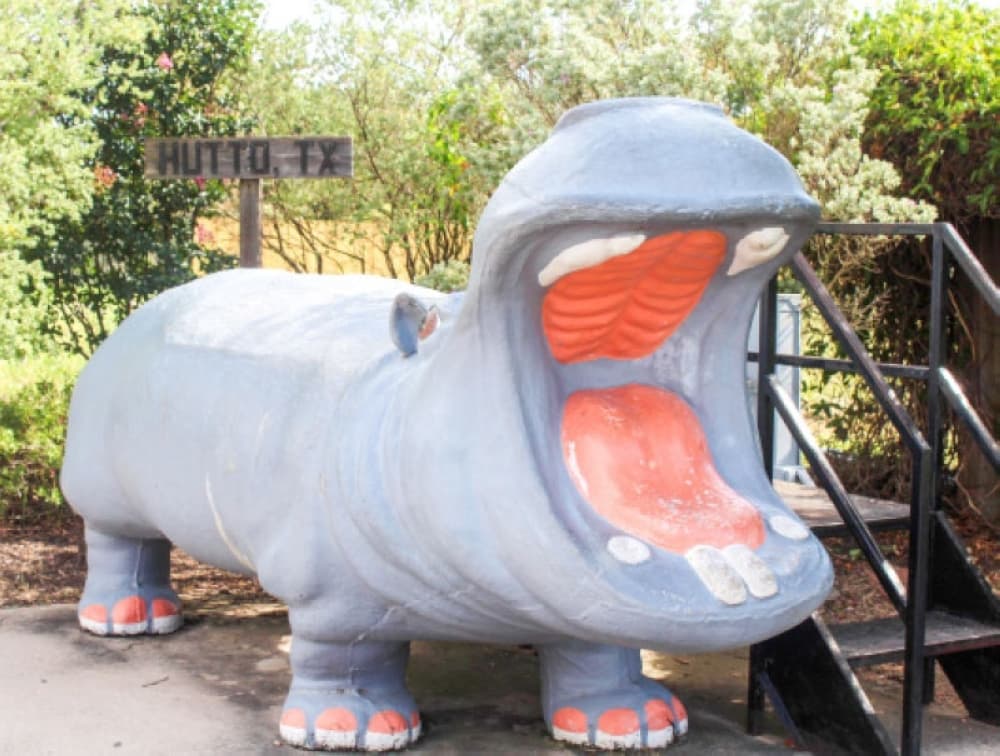 Hometown Hutto hippos: Can you find them all?