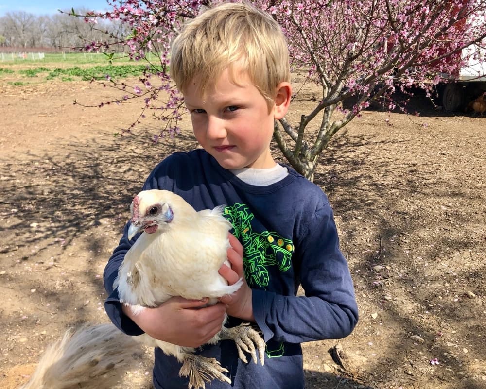Sweet Eats Fruit Farm providing pick-your-own produce, pony rides and more in Georgetown