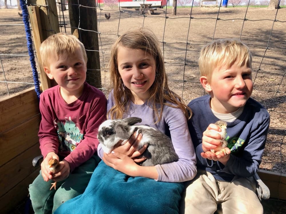 From left, Cooper, Emma and Henry Meredith hold animals in the farm's petting zoo. 