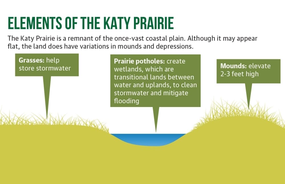 Katy Prairie