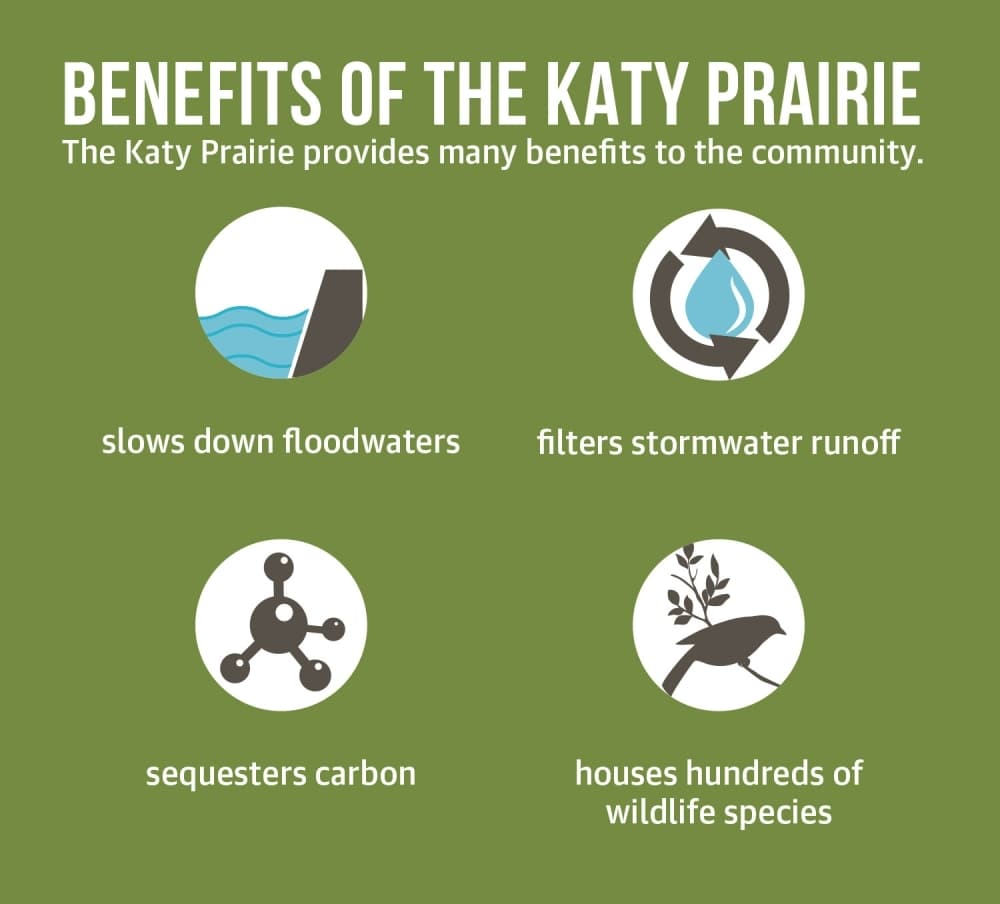 Katy Prairie