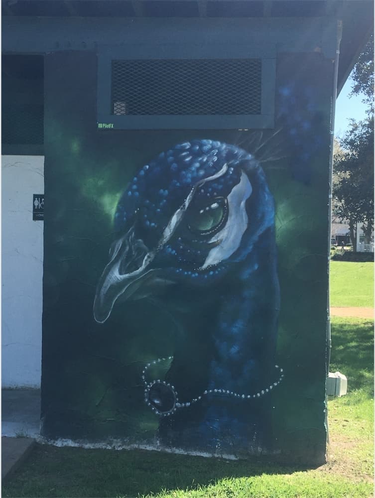 The bird murals on the bathrooms are the first ones Socie painted in the city. (Haley Morrison/Community Impact Newspaper)