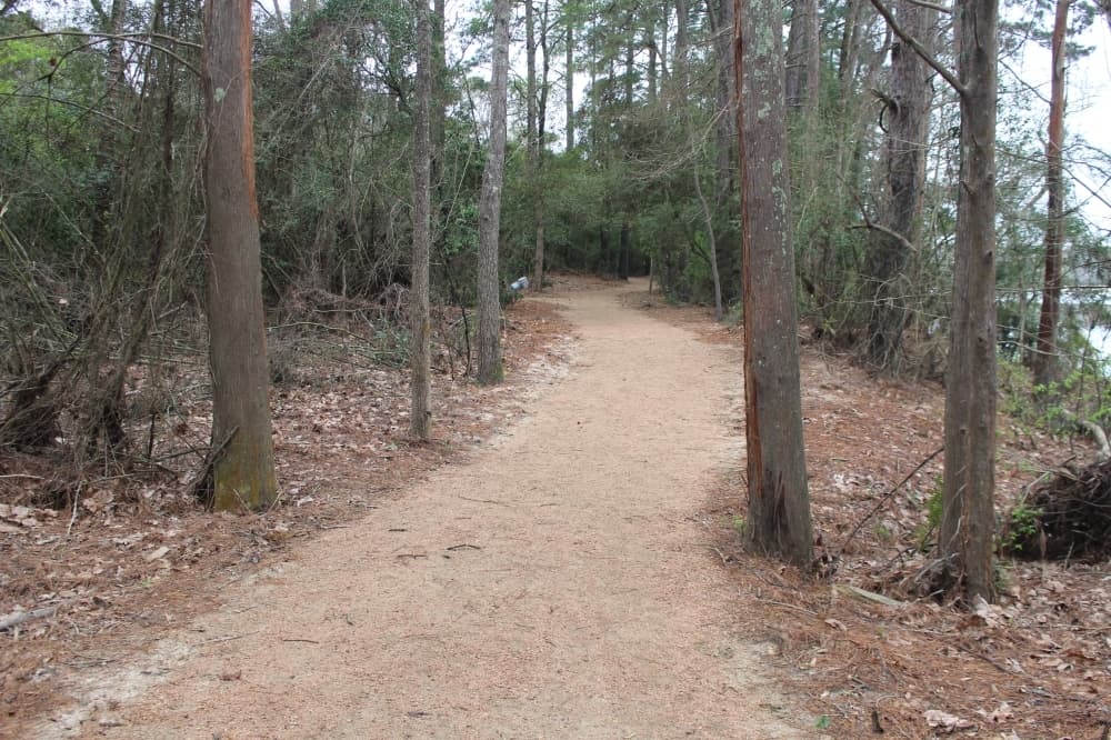 UPDATE: Lake Houston-area parks, trails remain open for public use amid coronavirus concerns
