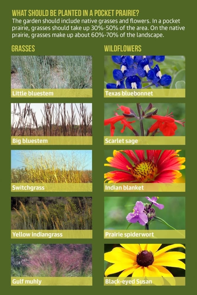 Pocket Prairie