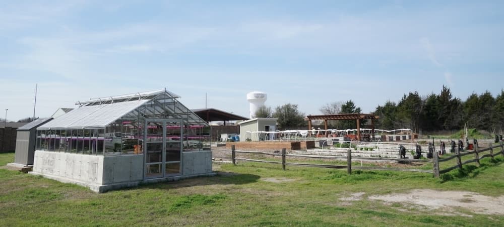 Coppell Community Garden supplies fresh produce to local food pantry