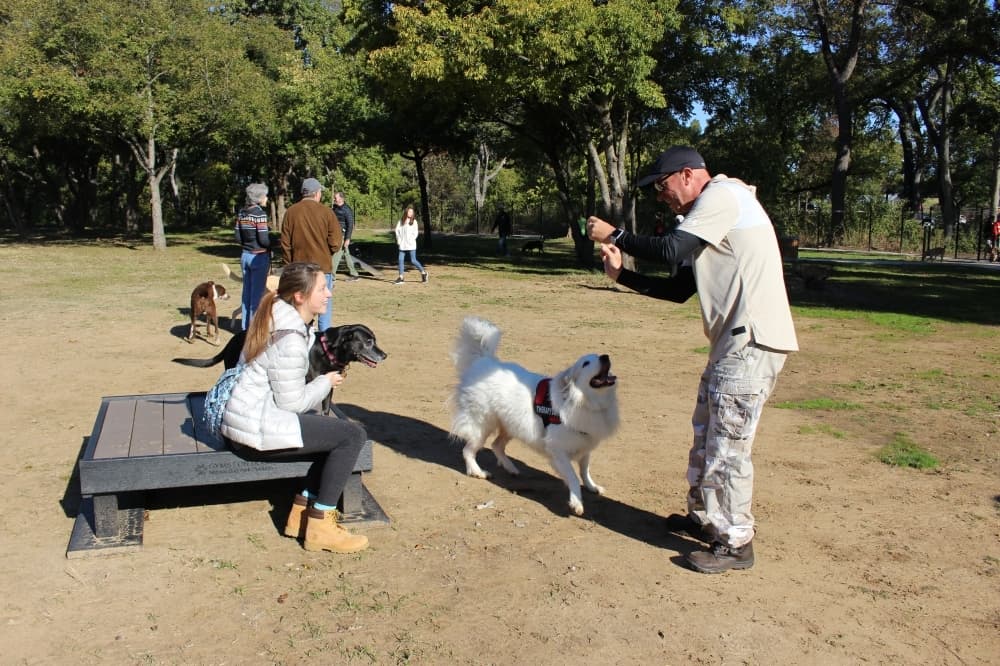 The Bark Park in Grapevine has closed due to a Stay at Home order issued by Tarrant County. (Miranda Jaimes/Community Impact Newspaper)