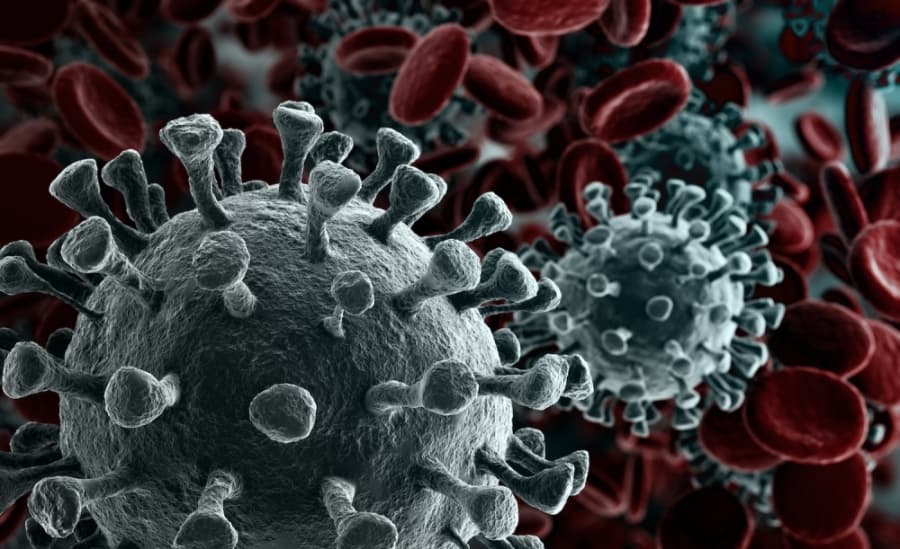 Coronavirus: Find April 3 Katy-area case counts, updates here
