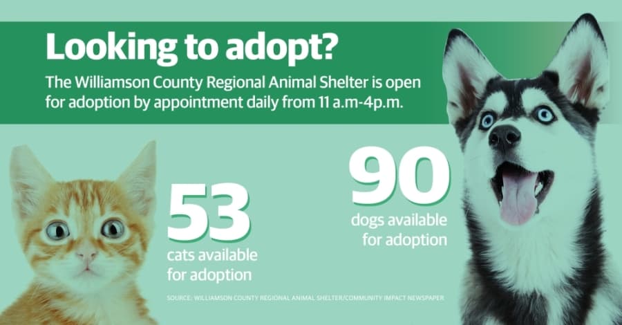 Williamson County Regional Animal Shelter continues to stay open for pet adoptions
