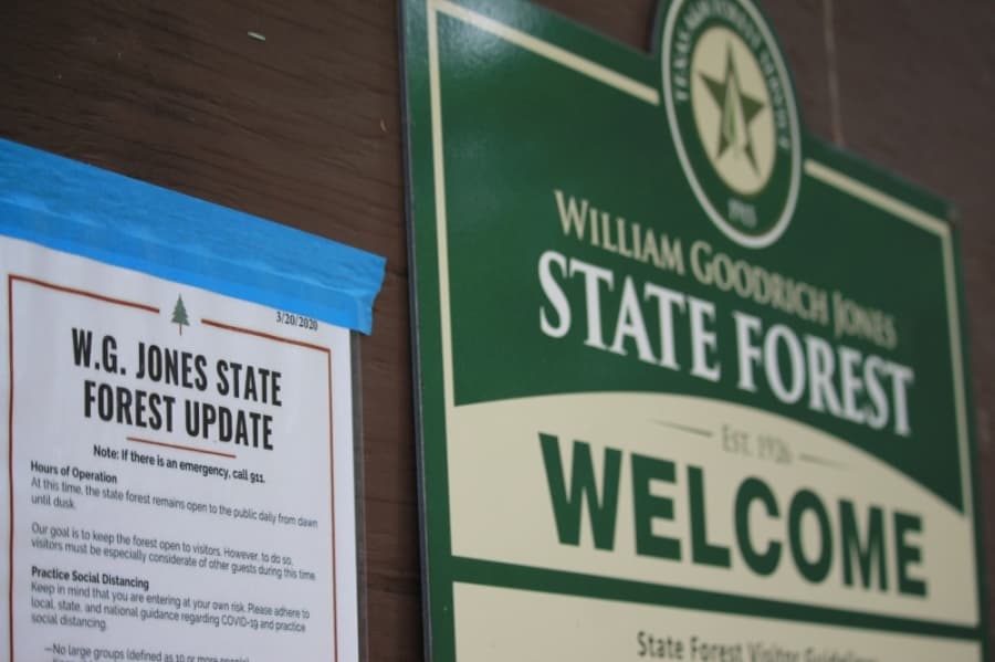 Despite the warming weather, trails at William Goodrich Jones State Forest stand mostly empty April 3 with notices posted. (Andy Li/Community Impact Newspaper)