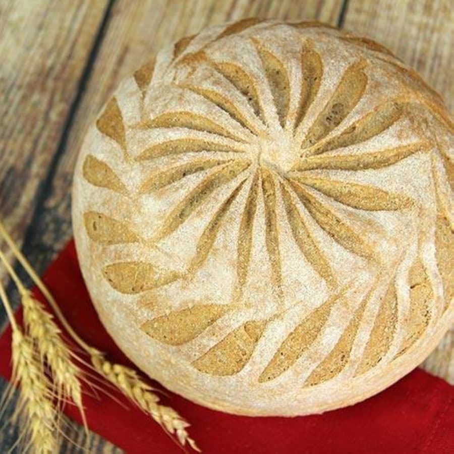 Great Harvest Bread Co. in Southlake under new ownership