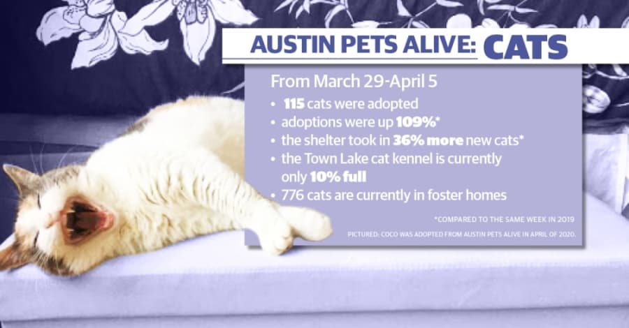 (Graphic by Mel Stefka/Community Impact Newspaper)