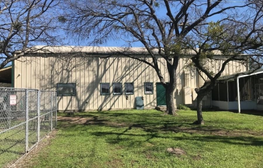 New mural planned for Georgetown Animal Shelter; search for artist underway